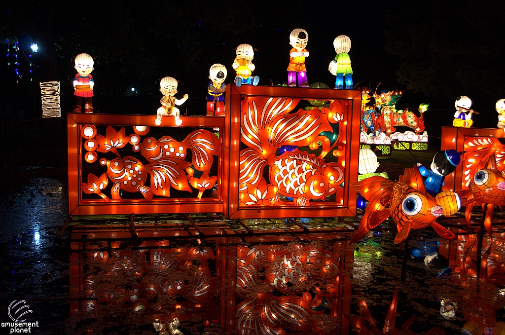 Chinese Lantern Festival