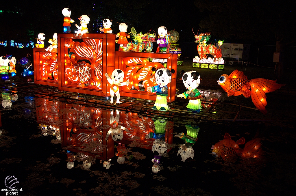 Chinese Lantern Festival