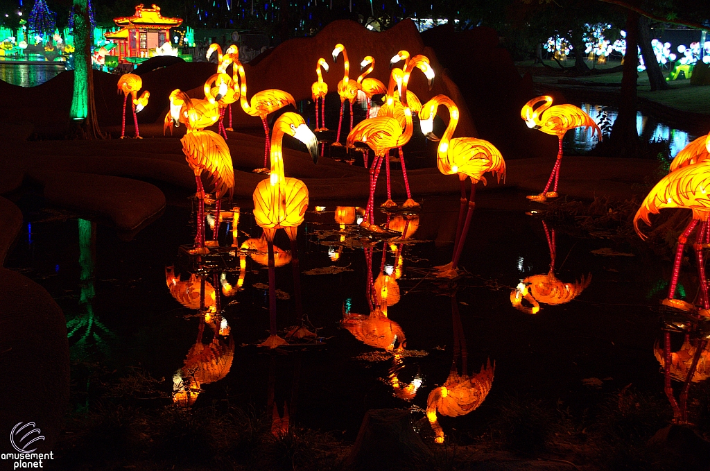 Chinese Lantern Festival