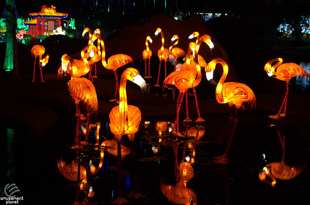 Chinese Lantern Festival