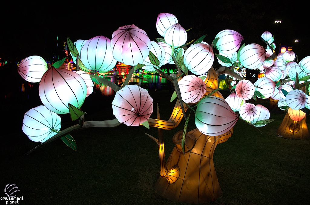 Chinese Lantern Festival