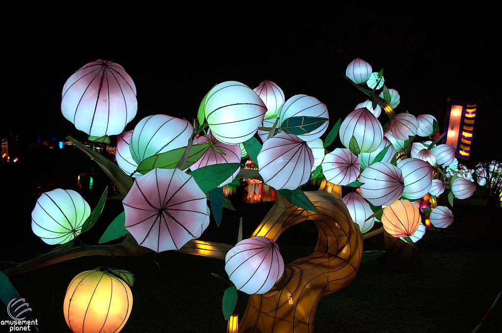 Chinese Lantern Festival