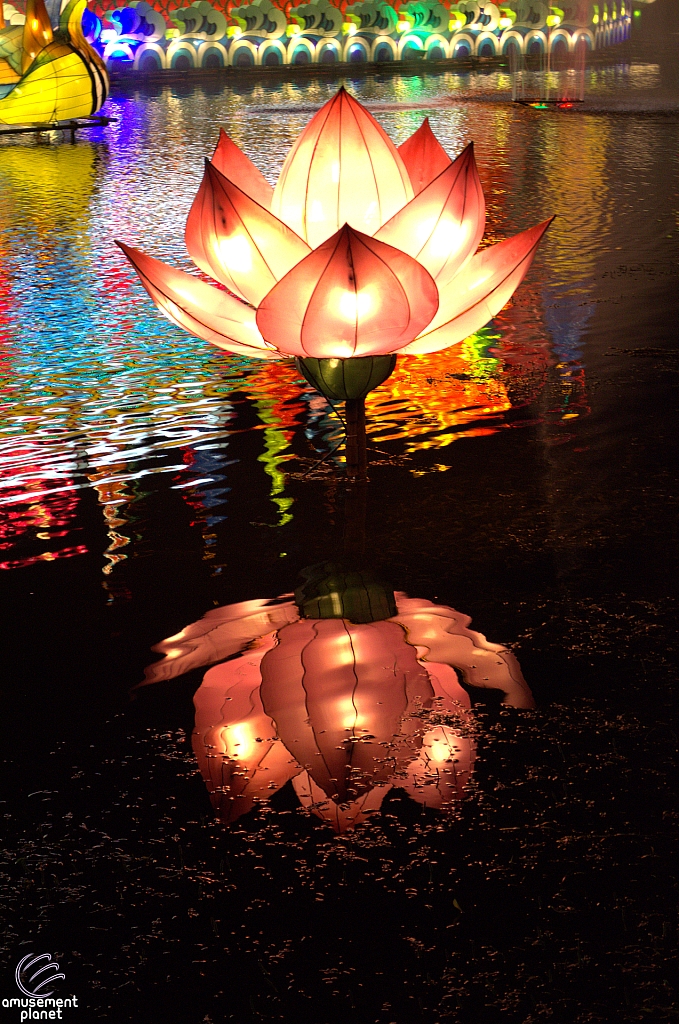 Chinese Lantern Festival