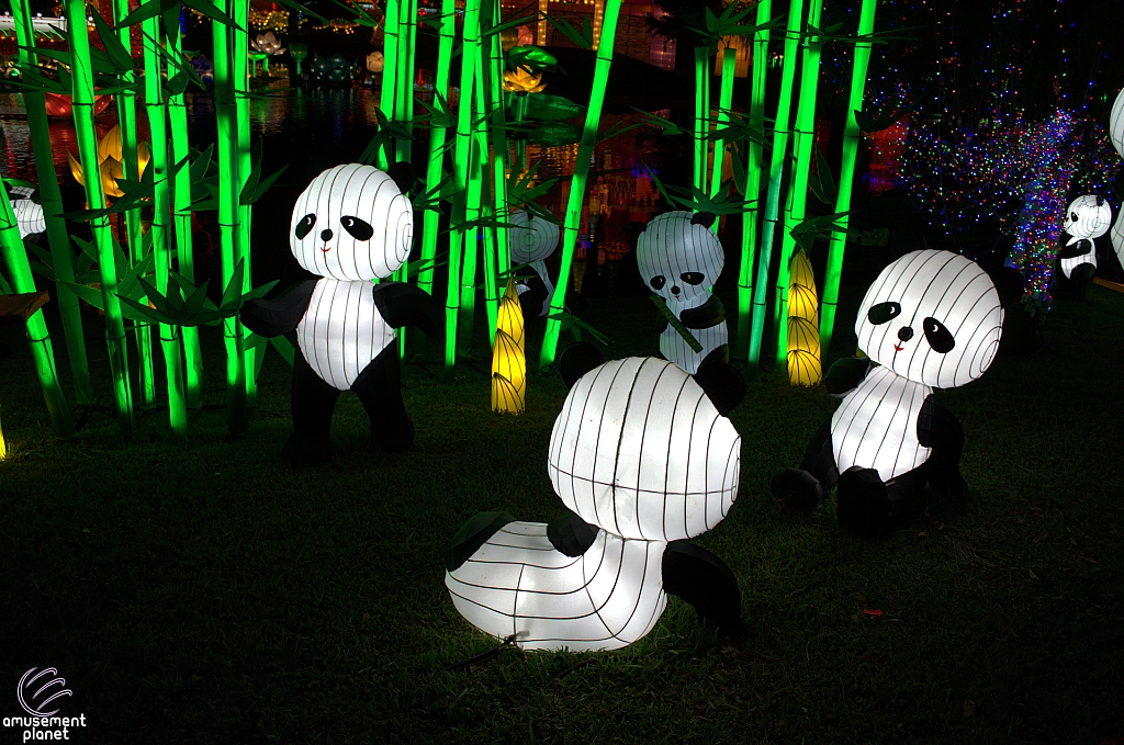 Chinese Lantern Festival