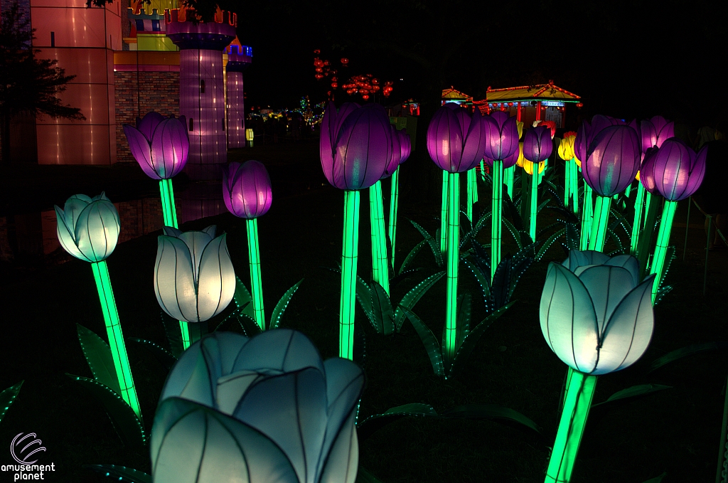 Chinese Lantern Festival