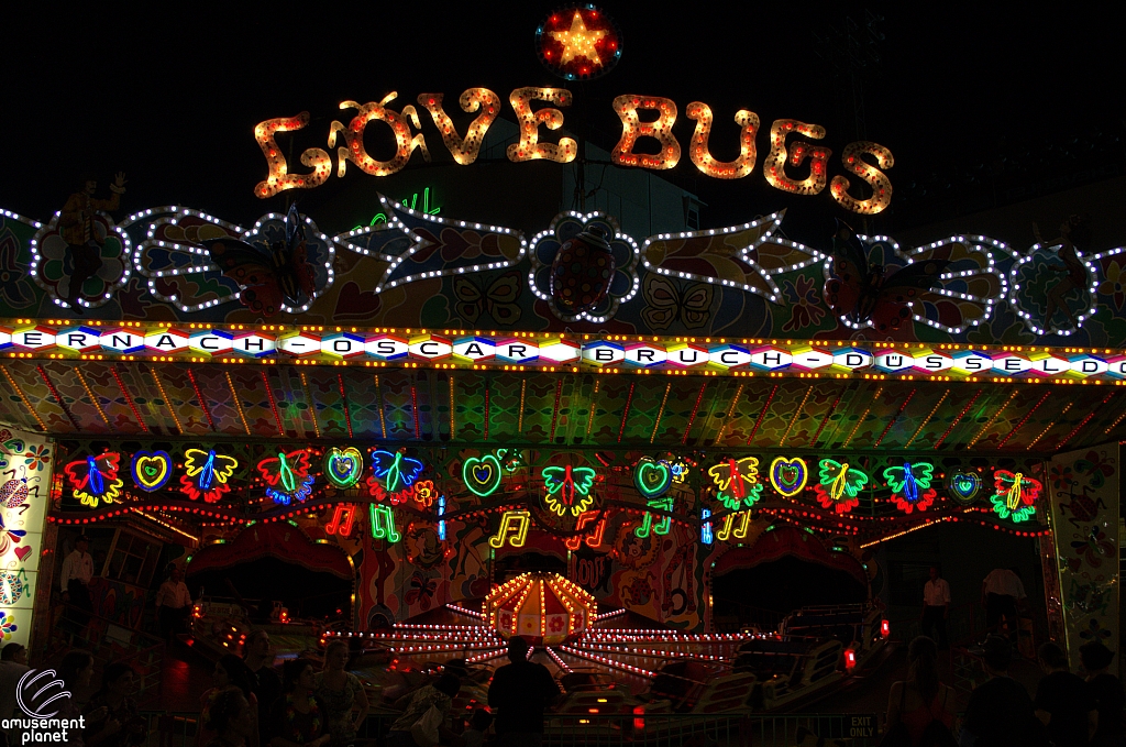 Love Bugs