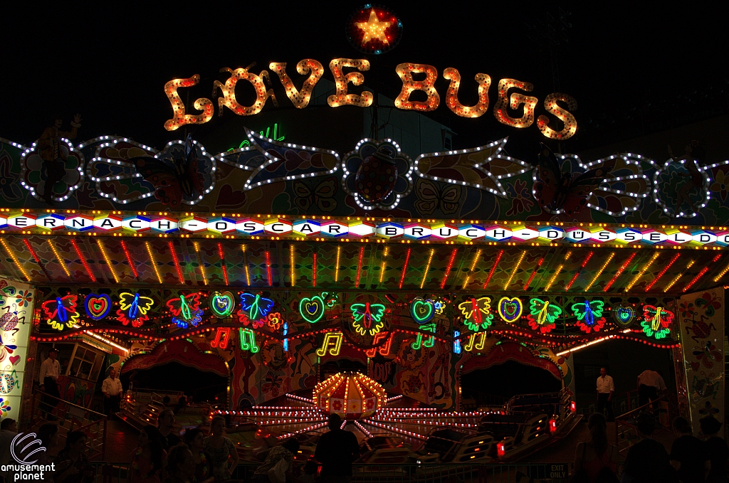 Love Bugs