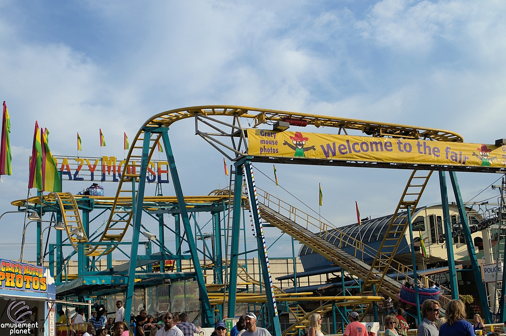 Crazy Mouse