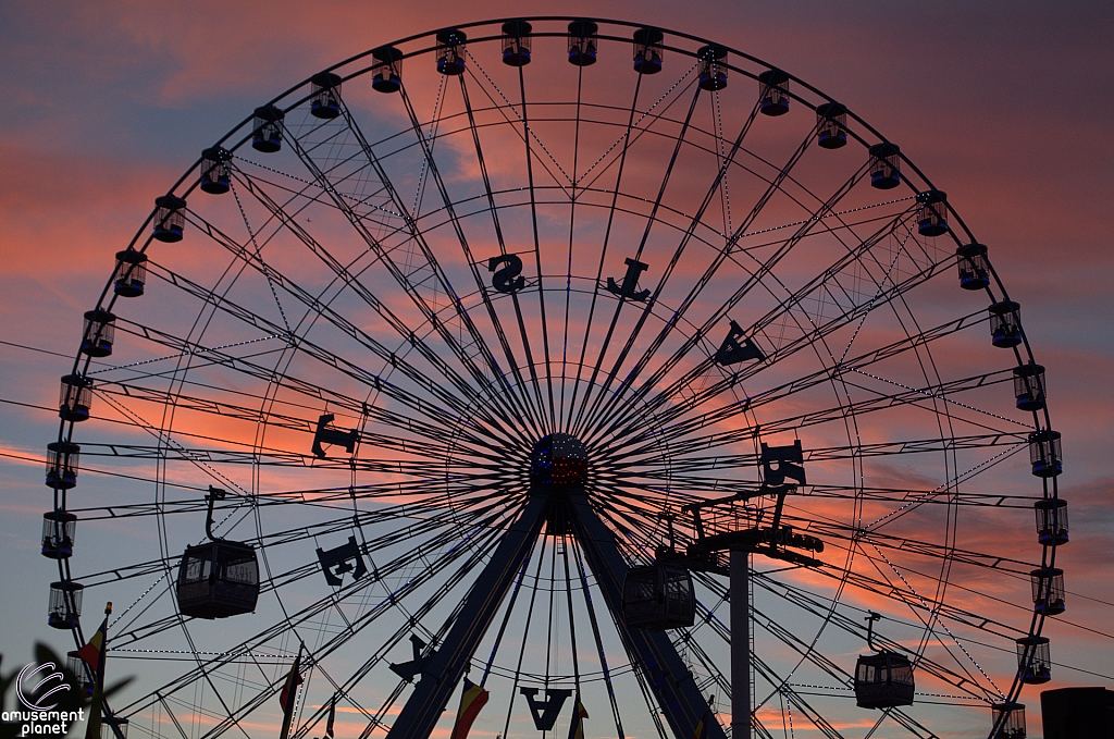 Texas Star