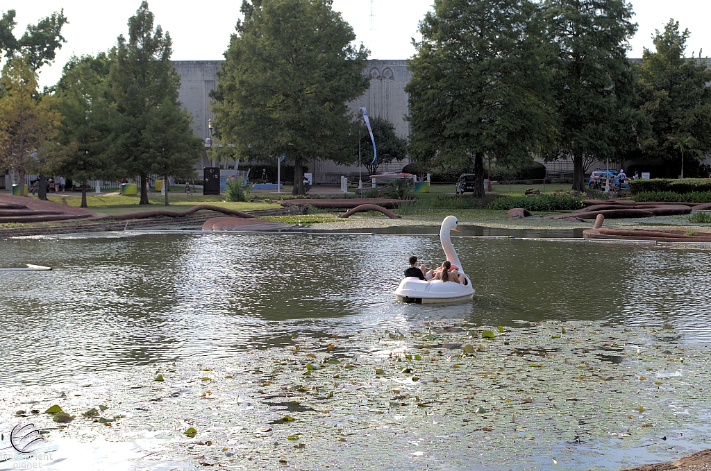 Swan Boats