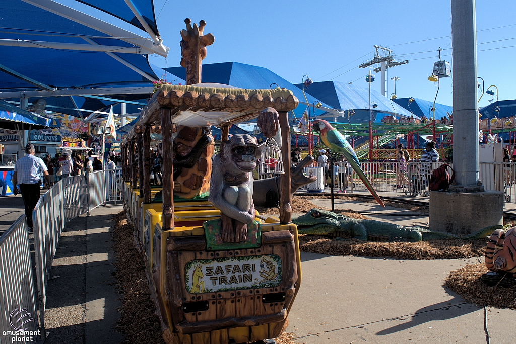 Safari Train