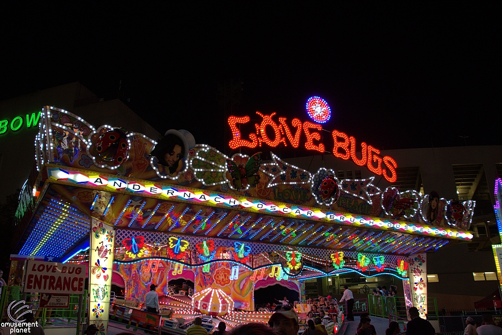 Love Bugs