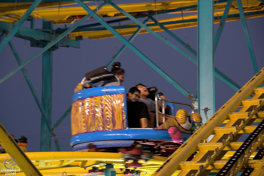 Crazy Mouse