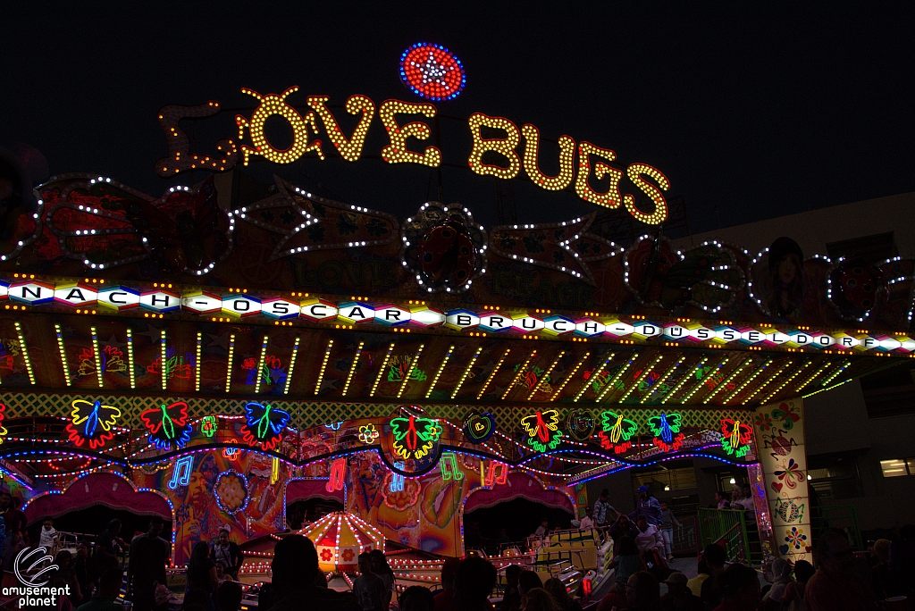 Love Bugs