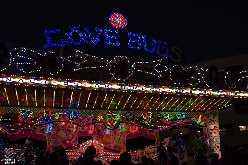 Love Bugs