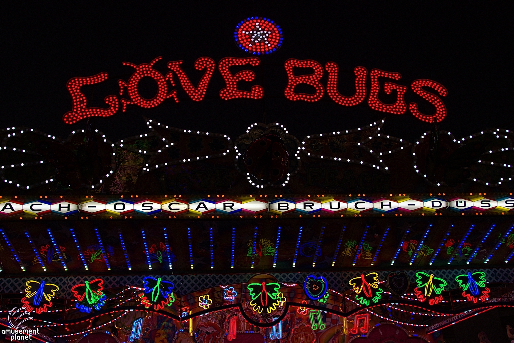 Love Bugs