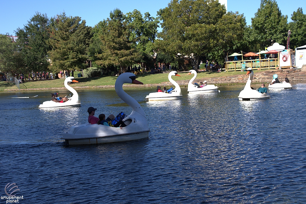 Swan Boats