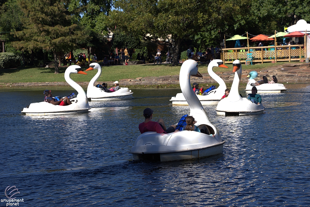 Swan Boats