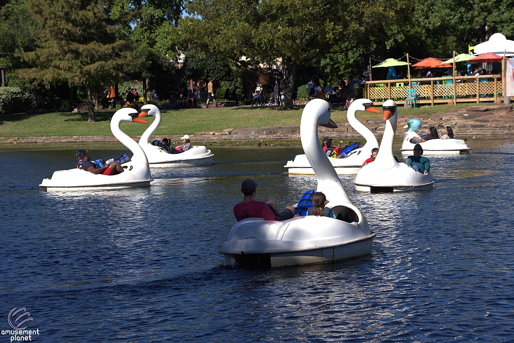 Swan Boats