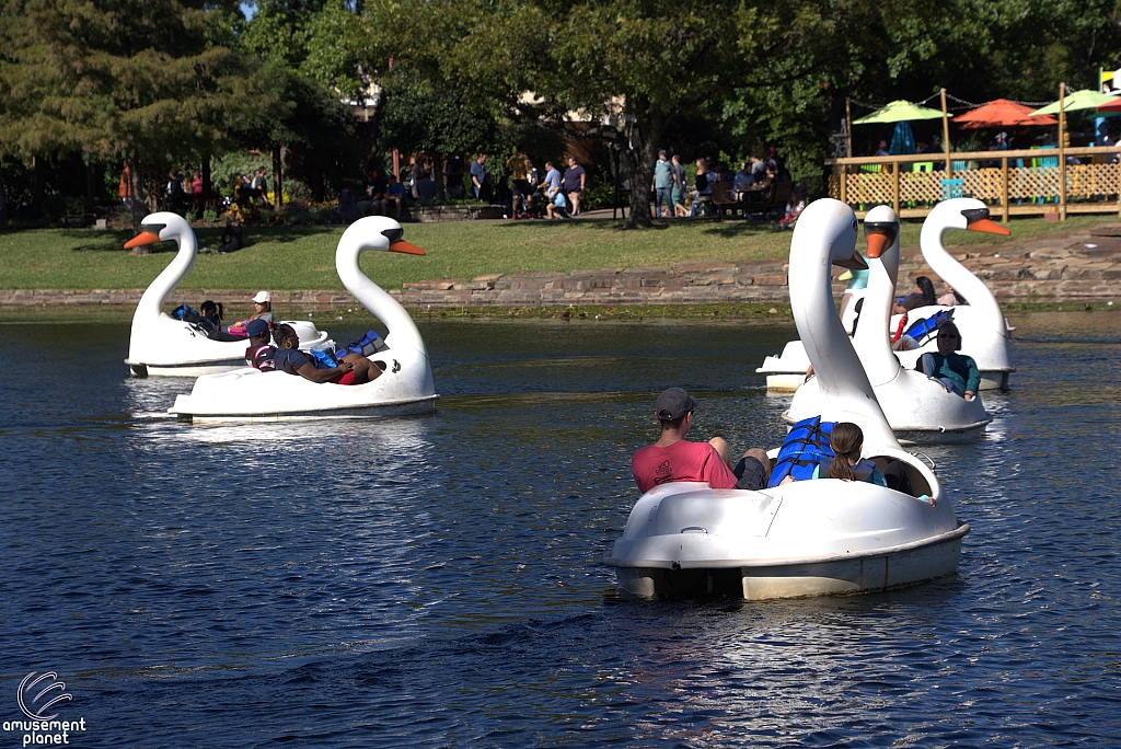 Swan Boats