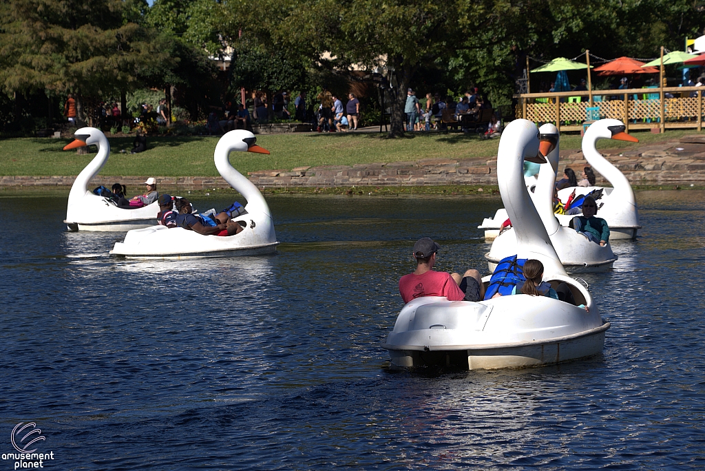 Swan Boats