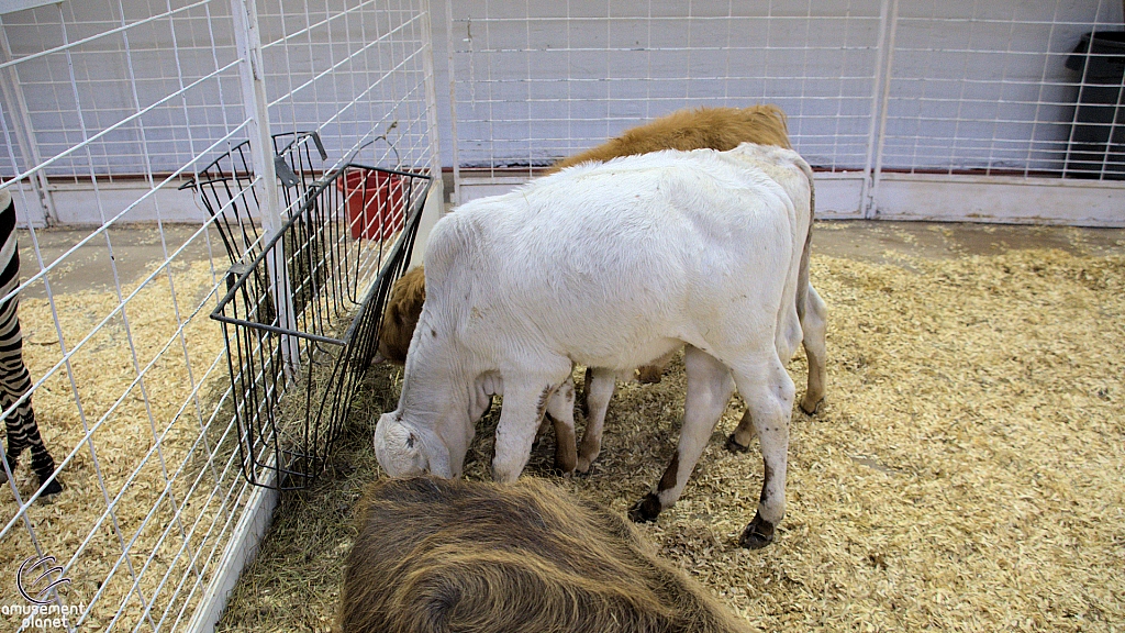 Children’s Health Barnyard