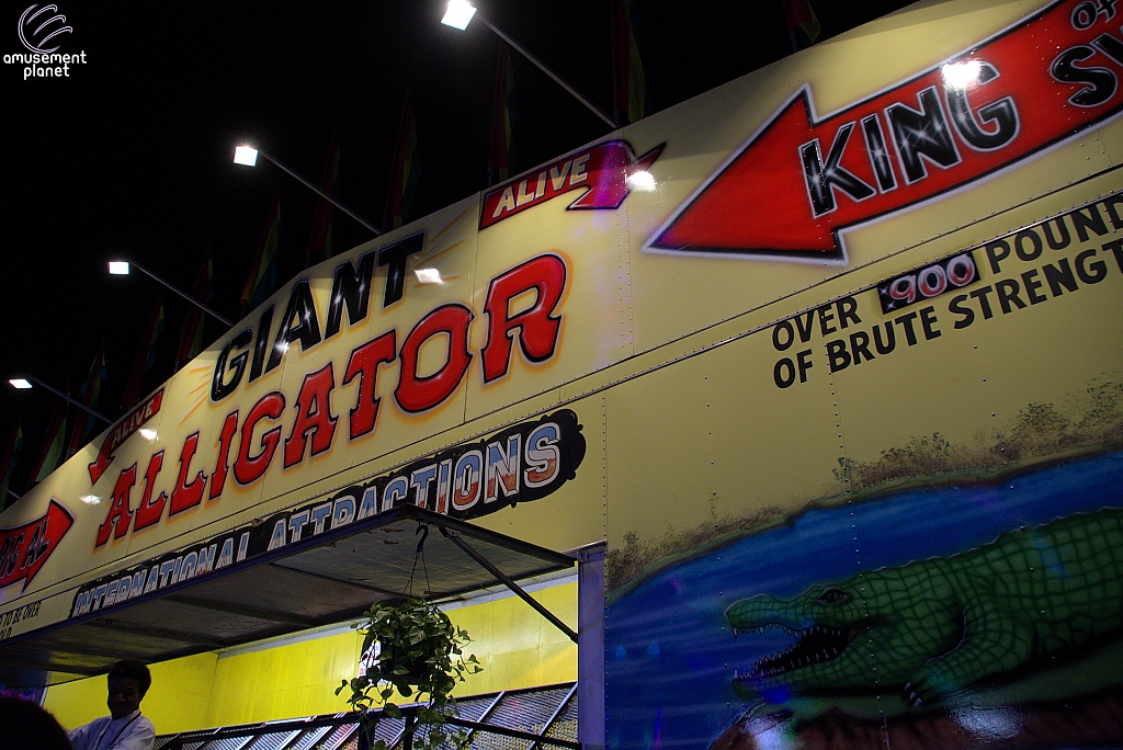 Giant Alligator