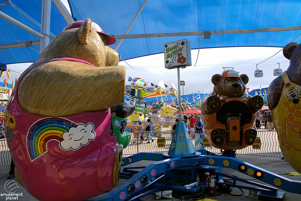 Bear Affair