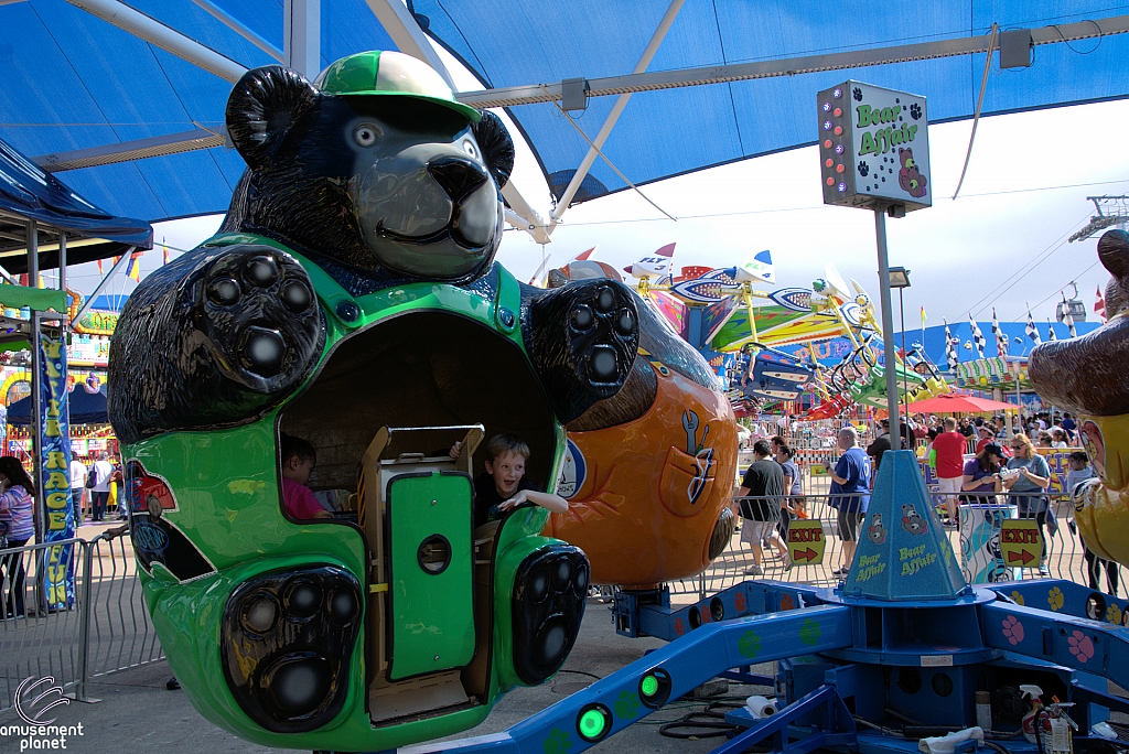Bear Affair
