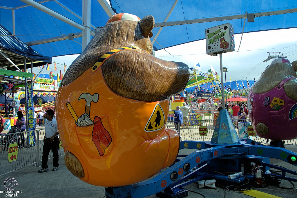 Bear Affair