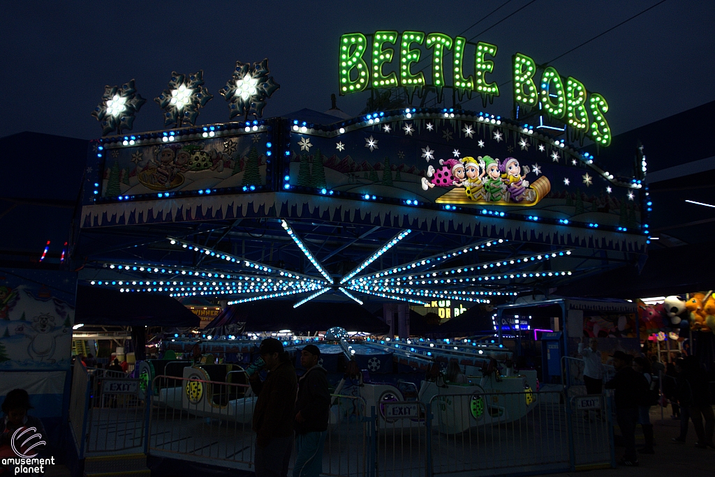 Beetle Bobs
