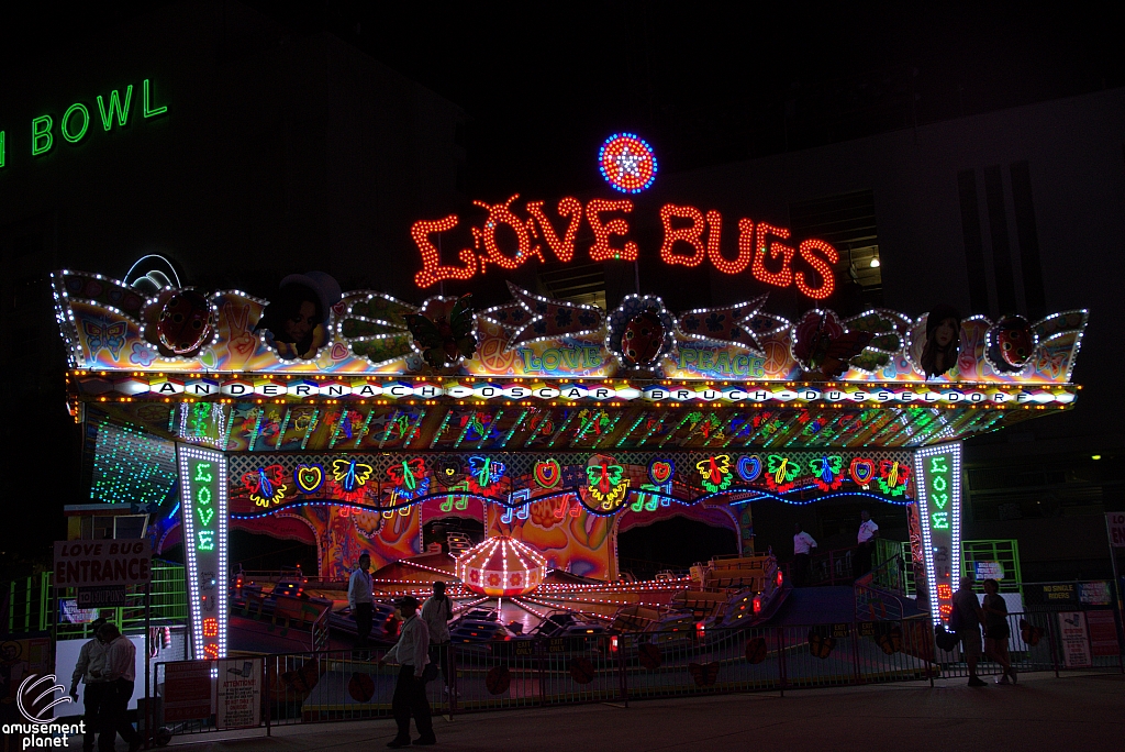 Love Bugs