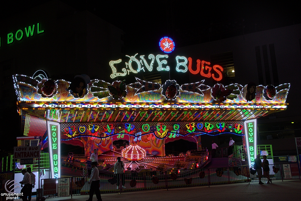 Love Bugs