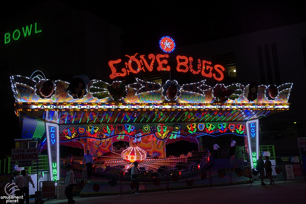 Love Bugs
