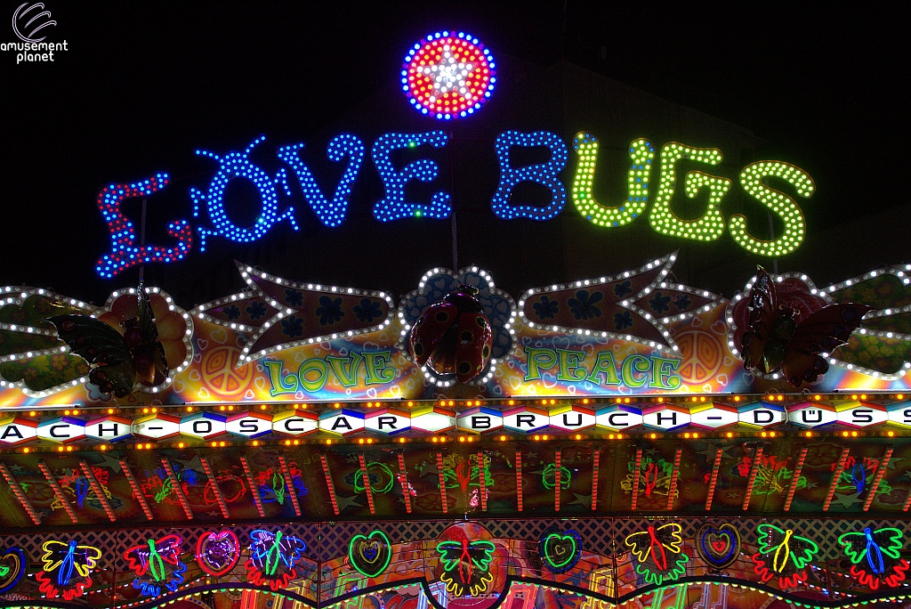 Love Bugs