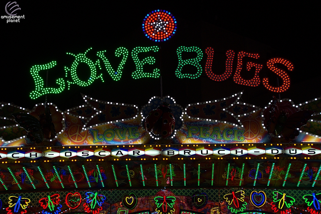 Love Bugs