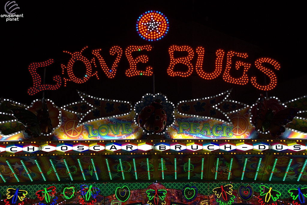 Love Bugs