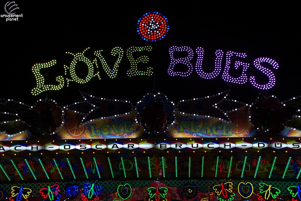 Love Bugs