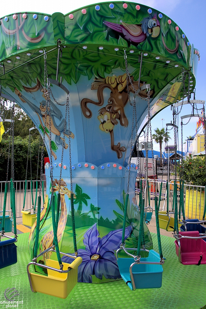 Mini Swings