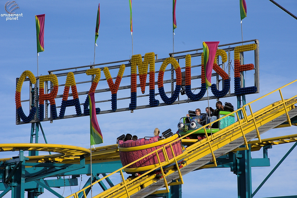 Crazy Mouse