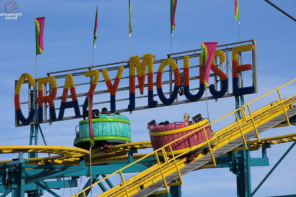 Crazy Mouse