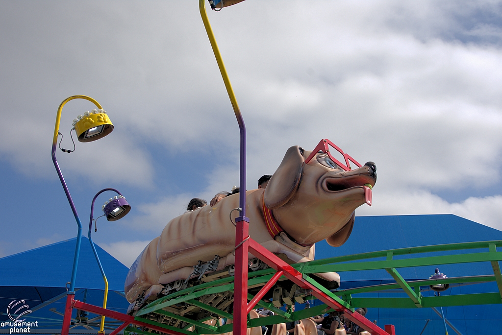 Puppy Express