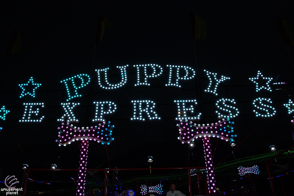 Puppy Express