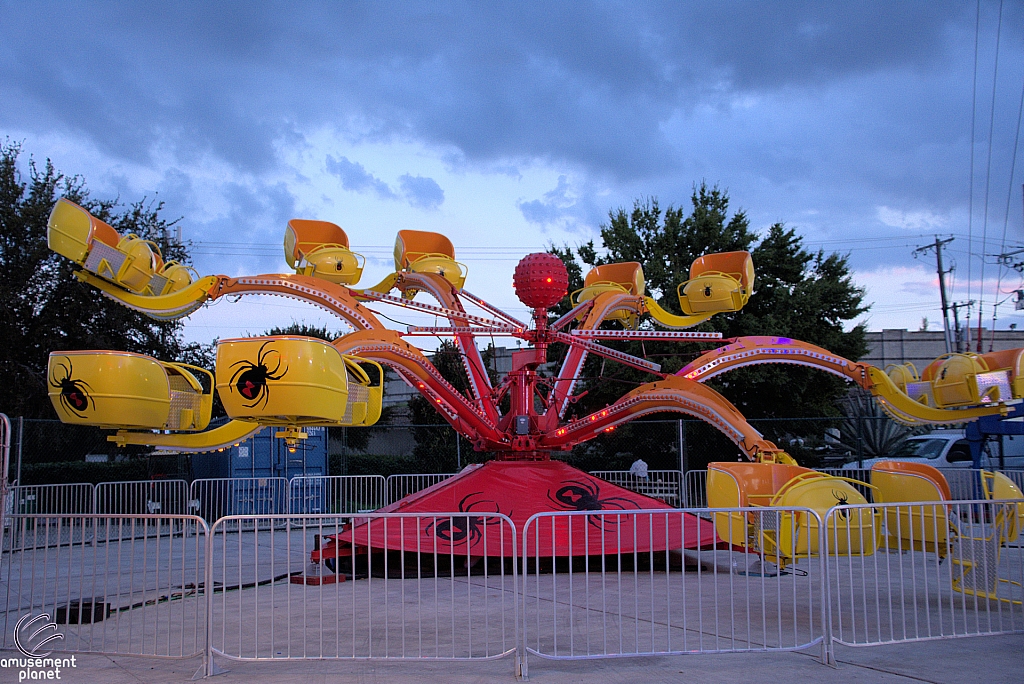Spider