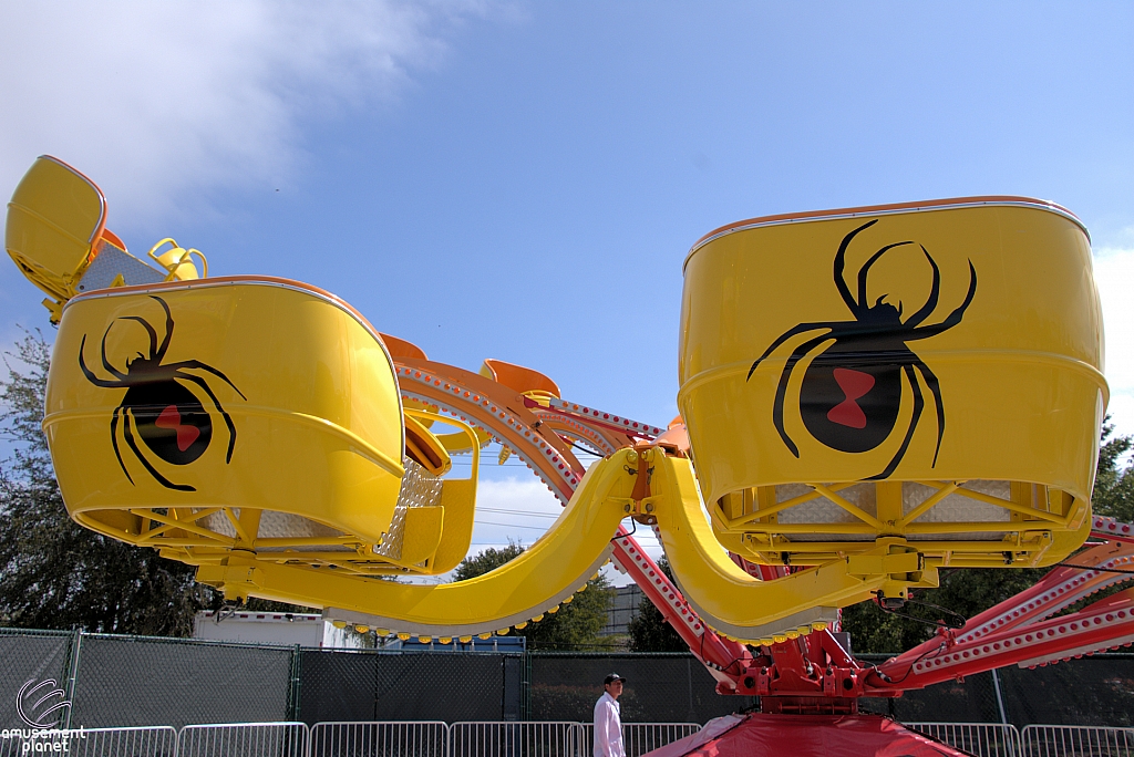 Spider