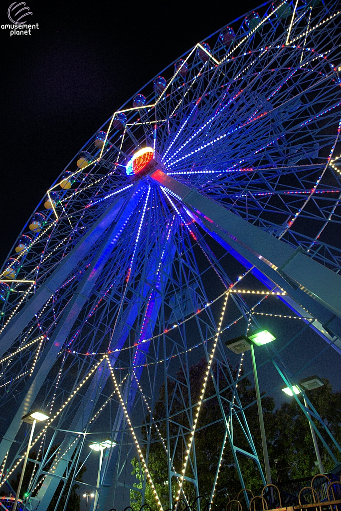 Texas Star