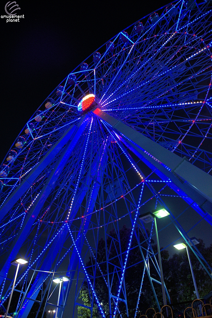 Texas Star