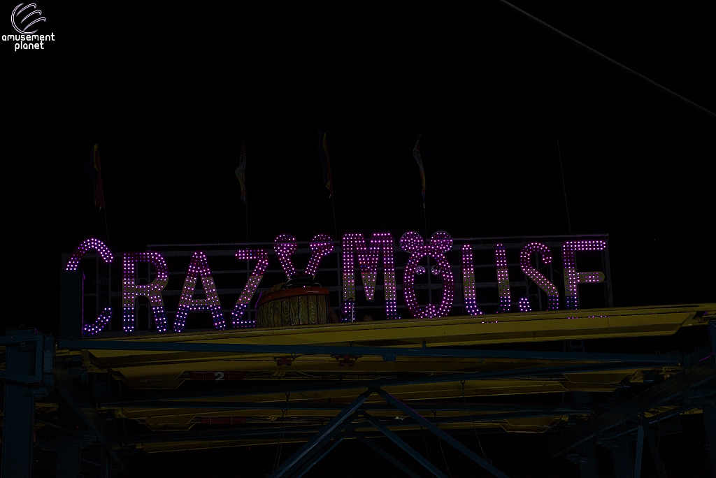Crazy Mouse