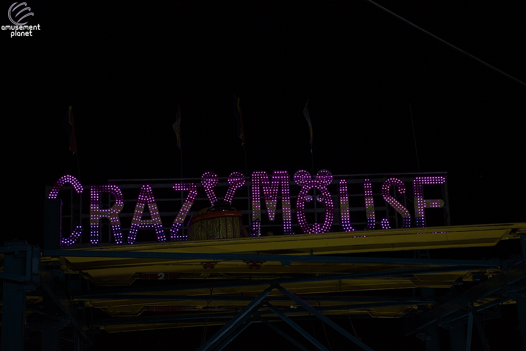 Crazy Mouse