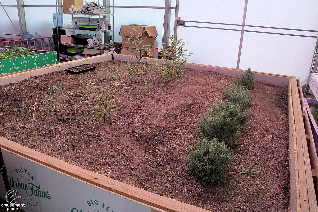 Innovations in Agricultire